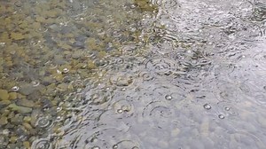 雨 水滴 水 - Free video on Pixabay