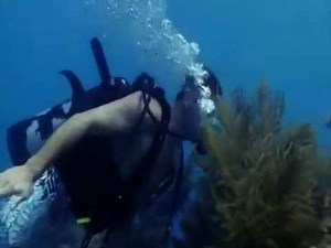 Scuba scene from CSI Miami