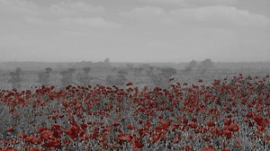 310K views · 1.4K reactions | As we reflect on the 100th anniversary of the Armistice, it seems appropriate that we share this. A' Cuimhneachadh | Runrig | Facebook