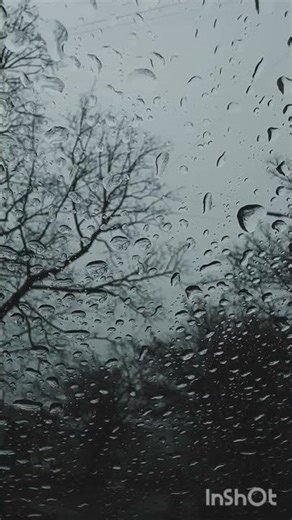 “Relaxing Water Flow Sounds 🌊 | Deep Calm & Stress Relief | Nature Short Video”