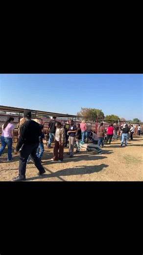 What a fantastic day! We had The Learning Experience preschool teachers and their families come out for a Volunteer Day. Learning about horses, grooming, walking them and of course lots of hugs and treats. We ended our day with lunch as one big EHC family. #EquineHeartConnection #farmlife #community #connection #beautifulday | Equine Heart Connection