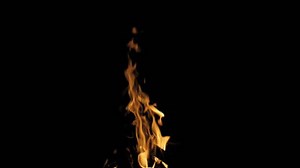 Realistic Fire Flame Close Transparent Background Stock Footage Video (100% Royalty-free) 1006627753 | Shutterstock