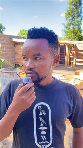 Final Touches on Our Modern Cow Shed with Calf Pen