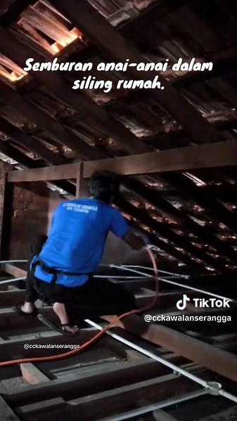 Effective Termite Spray Solutions for Homeowners