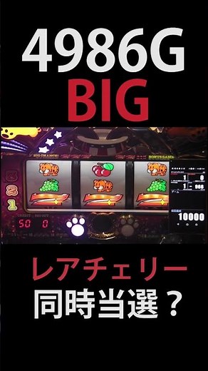 【禁断検証】すべて2枚掛けで10000G回してみた【マイジャグラー5】short #6号機 #パチスロ #ジャグラー #マイジャグラー5