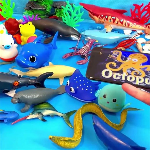 Octopus! 🐙 Can You Find the Matching Toy?