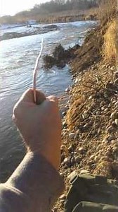 Using home made divining rods to locate treasure!