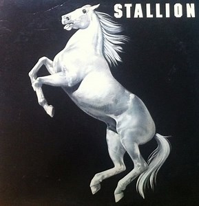 Stallion - Stallion