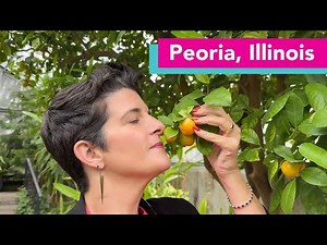 Discover LGBTQ+ Friendly Peoria, IL: Pride Events, Inclusive Spots & Travel Tips