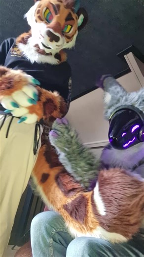 its soo fluffy @Cookie the Draguar #funny #protogen #protogenchip #furry #fyp