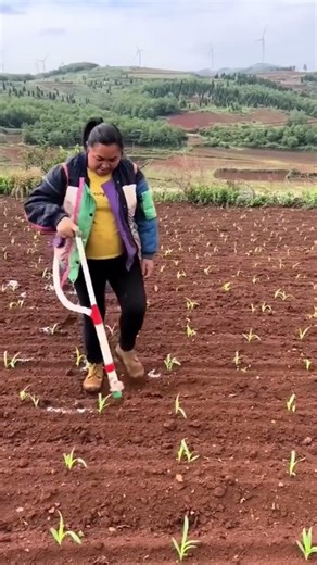 Quick Fertilizing Technique Every Farmer Should Know