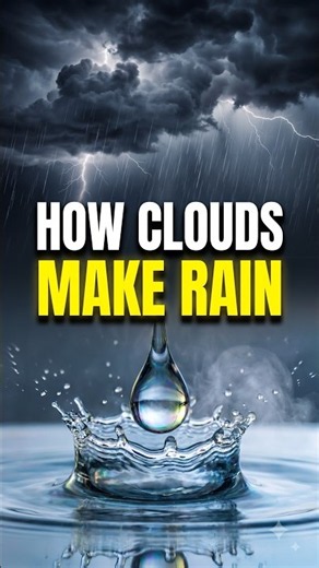How Clouds Actually Make Rain 🌧️ | Water Cycle Explained #shorts