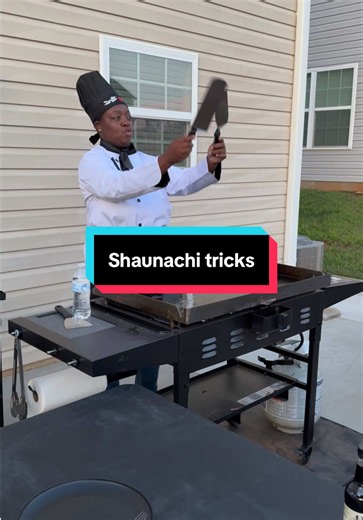 Shaunachi tricks: Easy dog tricks by Papijay & Sweetie