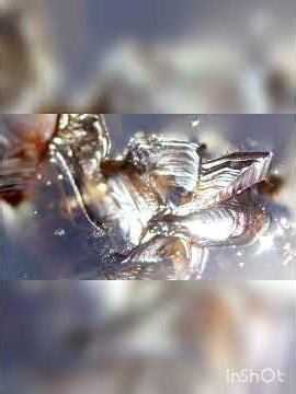 The crystal universe and we #cristalle #crystals