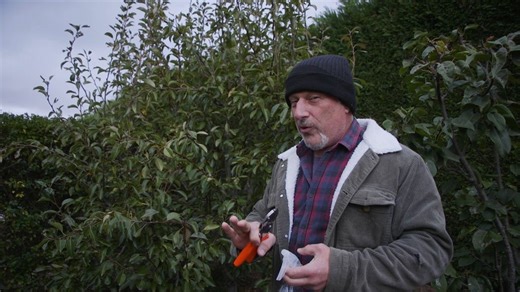 2.2K views · 131 reactions | Tips On Pruning Fruit Trees Find great products for your garden online at: www.vasilisgarden.com Real People, Real Gardens, Real Food! Maresi!  | Vasili's | Facebook