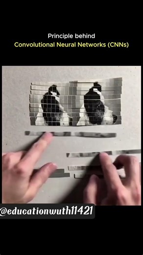 #Image recognition using CNN #CNN #AI #ML #techshorts #ytshorts #education