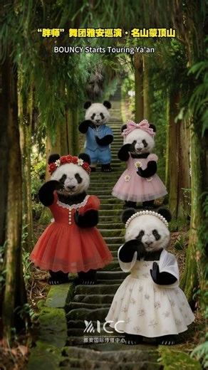 Bouncy Dance Crew Tour — Mengding Mountain, Ya’an