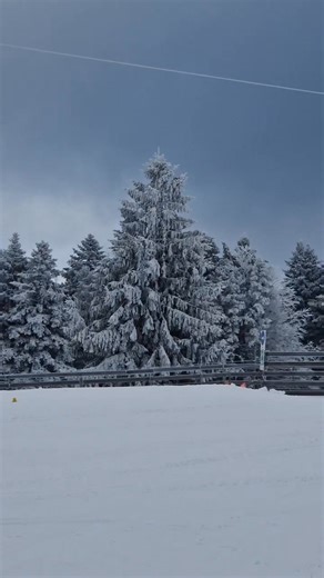 ☃️ L'hiver est bel et bien de retour au Ballon d'Alsace ☃️ ❄️ Livraison de quelques centimètres de neige fraîche ce matin au reveil = conditions de glisse ideale ! 📍Ouvertures ski alpin : 🐥 Fil neige 🟢 Petite Gentiane 🟢 Bruyère 🟢 Grande Bruyère 🟢 Petit Langenberg 🔵 Grande Gentiane 🔵 Gibus 🎿 Location de matériel La Cabane : skis - snowboard - luges Ballon d'Alsace : skis - snooc vente de forfaits. 🍴Salles Hors Sac Gentiane et Démineurs ouvertes 🥨☕Restauration snacking La Chaumière Aube