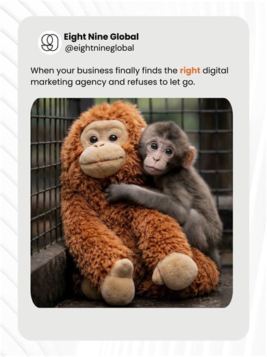 Punch's story reminds us everyone needs someone and we’re always here for you #MarketingAgency #EightNineGlobal #digitalagency