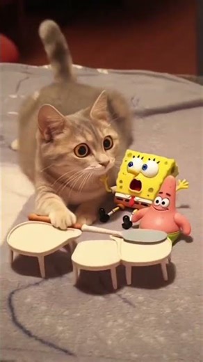 #nickelodeon #spongebob