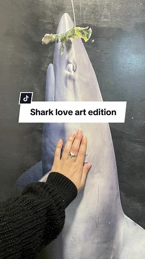 Playful Nature of Sharks: A Surprising Revelation