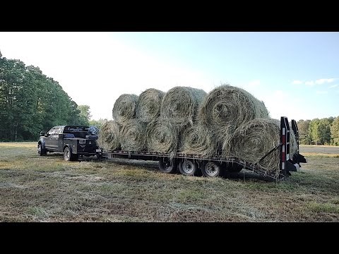 Cutting My First Hay Crop On The Farm