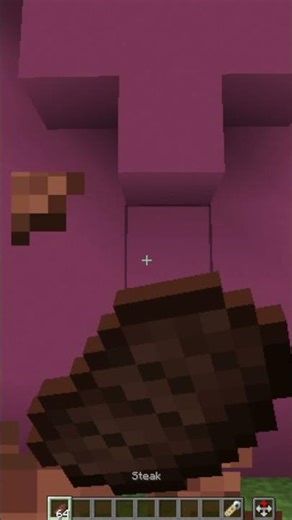 R.I.P Technoblade😢💔