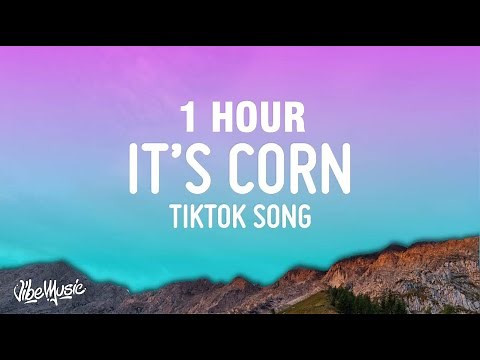 [1 HOUR] it's corn kid tiktok song (extended) lyrics | for me i really like corn