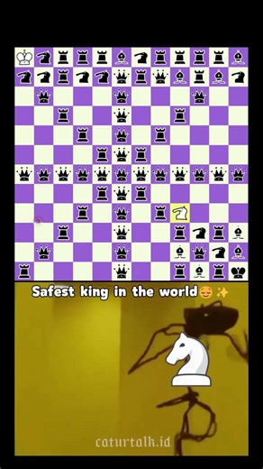 The Safest King in Chess😌 #chess #chessmemes #chesspuzzle