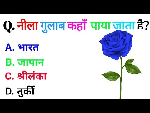 Best General Knowledge Questions and Answers for 2025