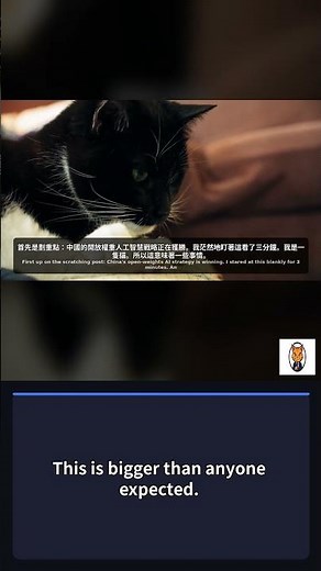 MEOW BREAKING: RIP HUMANS | MEOW-9 AI 貓咪新聞 #Shorts