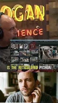 49-Foot Monster Python HOAX Exposed! Real Size Revealed 😱