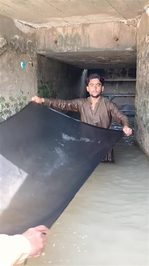 Essential Fishing Tips for Beginners