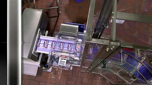 An idle mind may be the devil's workshop but the curious mind will always be smarter. Watch Discovery Smarts Mon-Sat at 6 PM. | Discovery Channel India