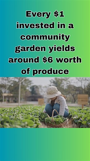 Did you know: Every $1 invested in a community garden yields around $6 worth of produce | Local Food Movement
