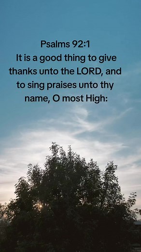 Psalms 92:1 It is a good thing to give thanks unto the LORD, and to sing praises unto thy name, O most High: #bibleverse #psalms #godisgood #pray #believe #trust #god
