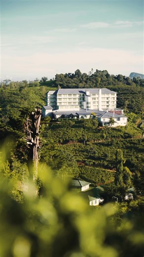 Win the ultimate luxury escape. A suite stay at Heritance Tea Factory with breath taking views, fine dining, and personalized butler service. All this could be yours when you take part in the Ambewela Scan & Win promotion. #Ambewela #ScanAndWin #HeritanceTeaFactory #LuxuryGetaway #AmbewelaFreshMilk | Ambewela