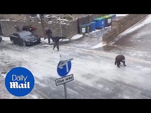People vs ice: Everyone keep slipping on this icy road in England
