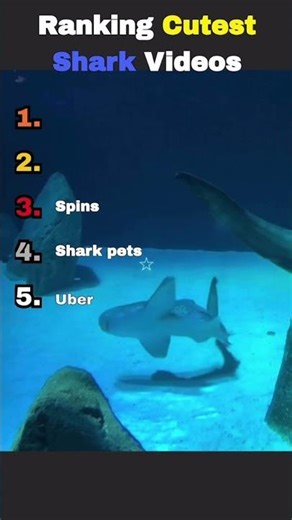You won't believe how gentle these sharks are 🦈 #shorts #shark #viral