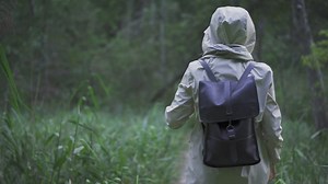 Walking through the woods - Free Stock Video