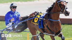 Harness racing and the world's first sports superstar