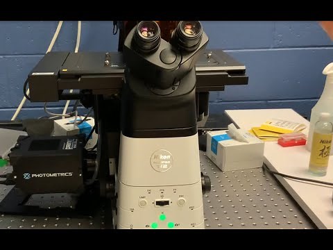 Nikon Eclipse Ti2-E Inverted Motorized Research Microscope | MSU PHM/TOX Microscopy Core