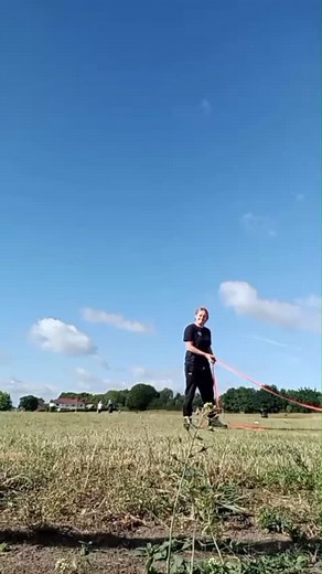 21 reactions | Calm, focus and connection, autism assistance dog in training Daisy is learning to filter out distractions and engage with her trainer in a busy outdoor space. #AutismDogsCharity #AssistanceDogInTraining | Autism Dogs Charity | Facebook