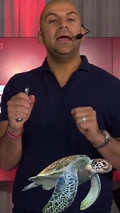 Attention Entrepreneurs! Your website's speed matters more than you think. If it's slow, you could turn customers away and limit your site's potential reach. Prioritise speed—it's mandatory in today's digital age! 🚀 | Aaron Sansoni