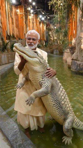 Modi Ji Playing with Crocodile | Unbelievable AI Video | PM Modi Funny Moment 🐊🇮🇳