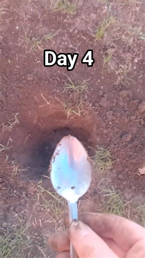 Day 4. Digging a secret bunker with a spoon, pls subscribe 😜#day4 #challenge #spoon #bunker