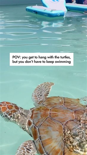 Discover the iLAND Float Series: The ultimate lineup for endless summer fun. Each float boasts pro-grade stability and comfort, holds up to 1,200lbs, and snaps together seamlessly so you can build your own floating island. Add magnetic mounts for speakers, cup holders, and more for the complete chill setup. | iRocker SUP