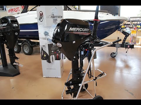 Mercury 2020 15HP EH (4-stroke EFI)