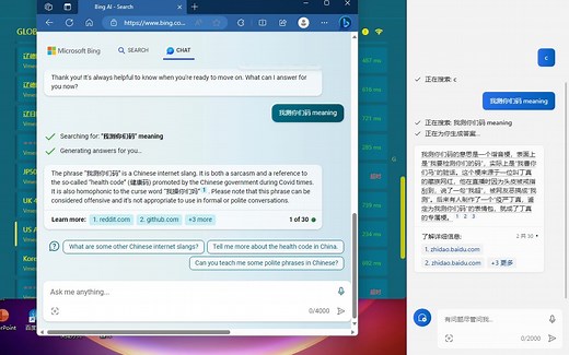 Win11 23h2 Copilot登录页白屏解决方法（大概）