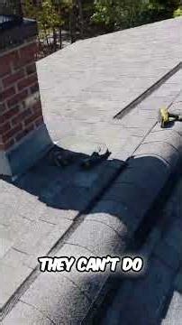 Bat Proof Your Roof | Ridge Guard Installation Guide | ‪@aacdistributing‬ #nh #maine #smallbiz